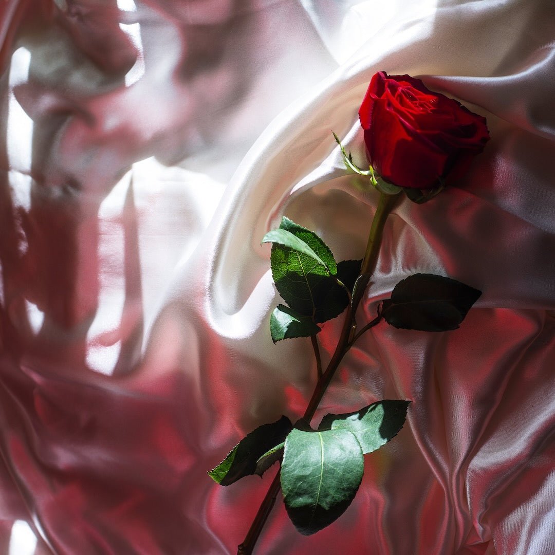 You Need to Know When Buying Silk: What is 22momme Silk? - FEELITS