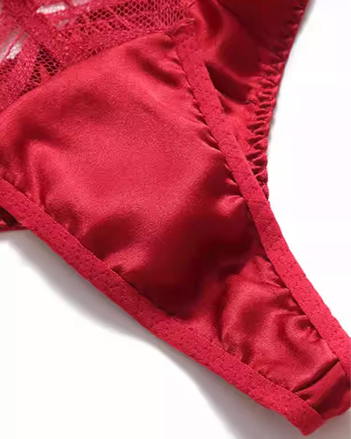 FEELITS SPA76 Mulberry Silk Lace T-Back Thong – Low-Rise, Seamless & No-Show Fit - FEELITS