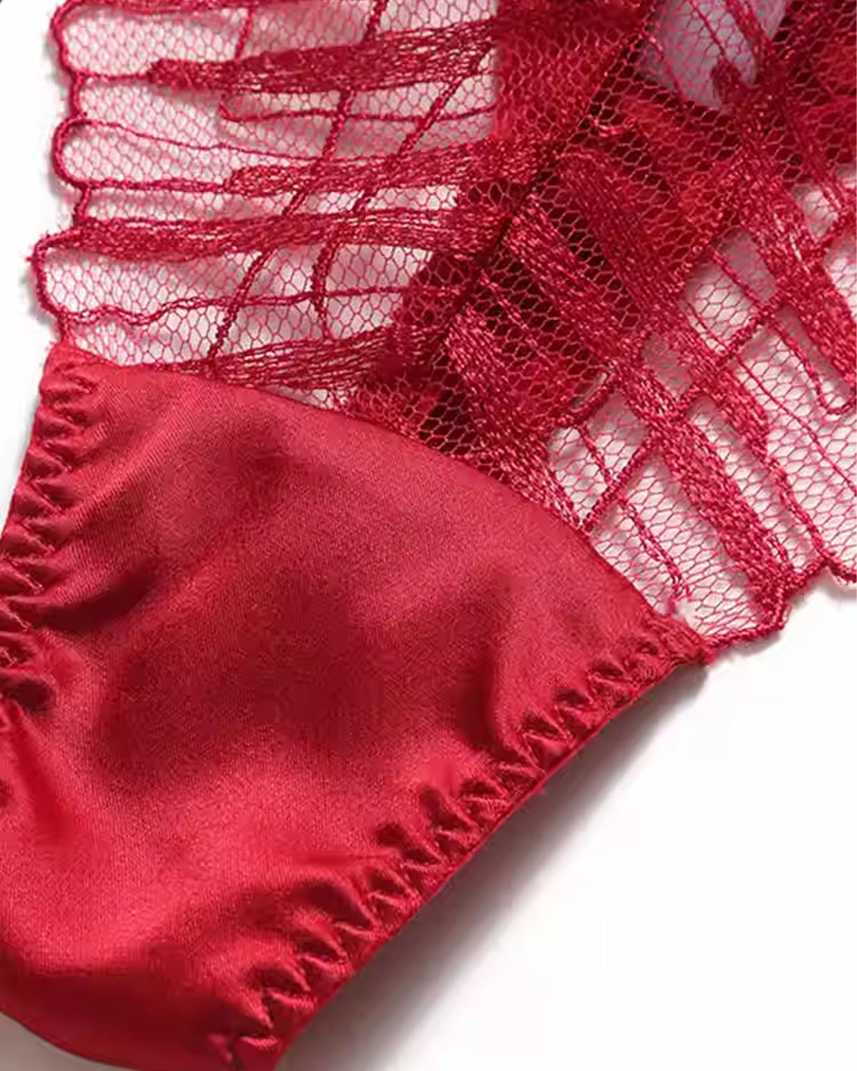 FEELITS SPA76 Mulberry Silk Lace T-Back Thong – Low-Rise, Seamless & No-Show Fit - FEELITS