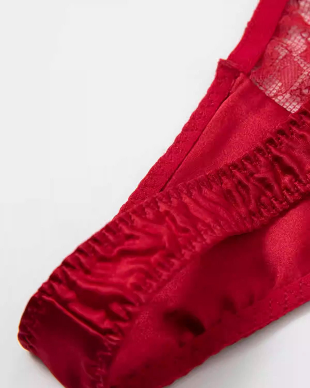 FEELITS SPA49 Mulberry Silk Lace Thong – Low-Rise, Seamless & No-Show Luxury Lingerie - FEELITS