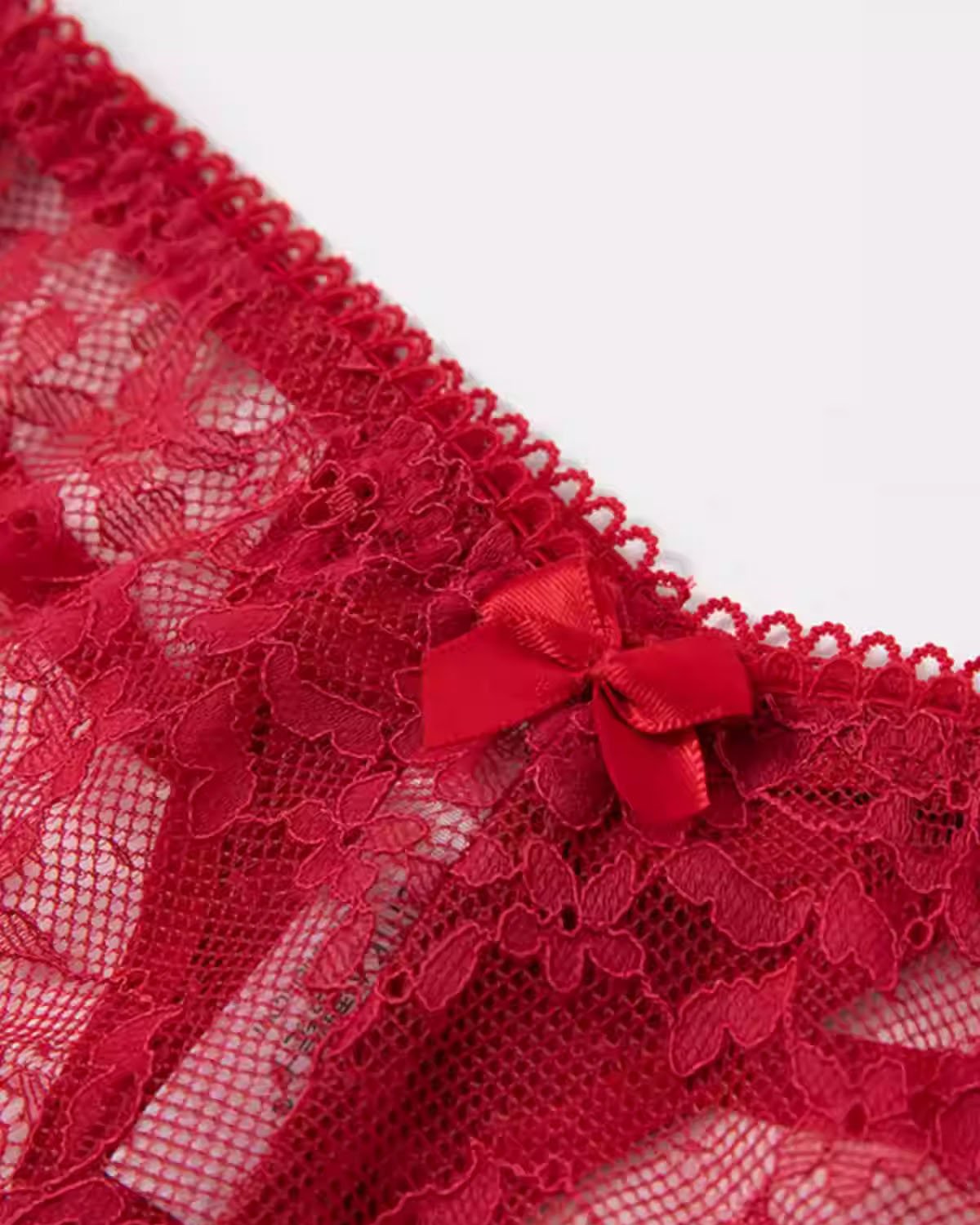 FEELITS SPA49 Mulberry Silk Lace Thong – Low-Rise, Seamless & No-Show Luxury Lingerie - FEELITS