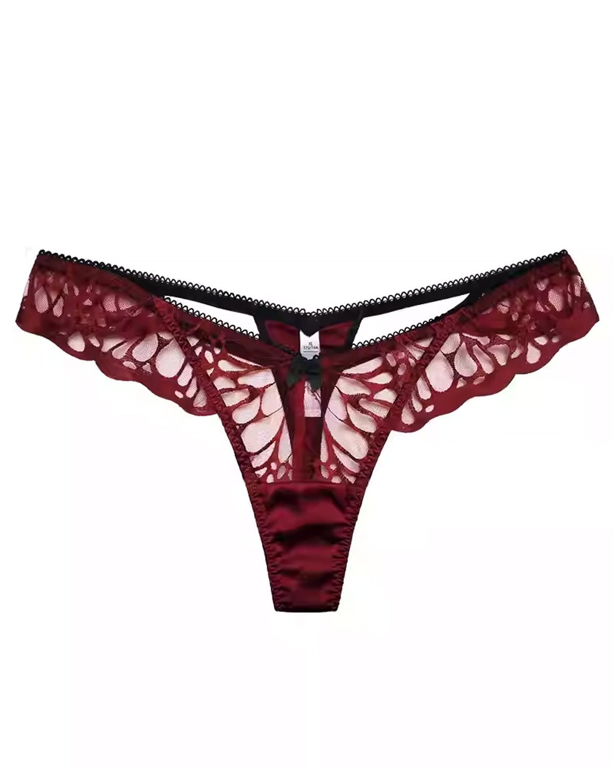 FEELITS SPA28 Embroidered Lace Sheer Thong – 93% Mulberry Silk, Low-Rise & Sensual Fit - FEELITS