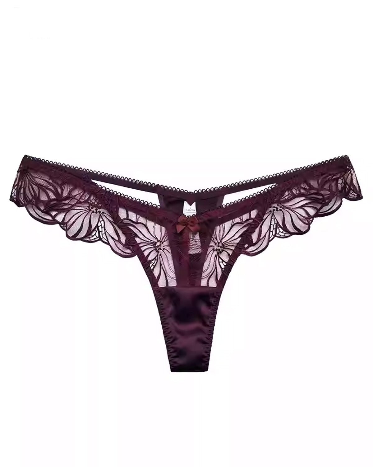 FEELITS SPA28 Embroidered Lace Sheer Thong – 93% Mulberry Silk, Low-Rise & Sensual Fit - FEELITS