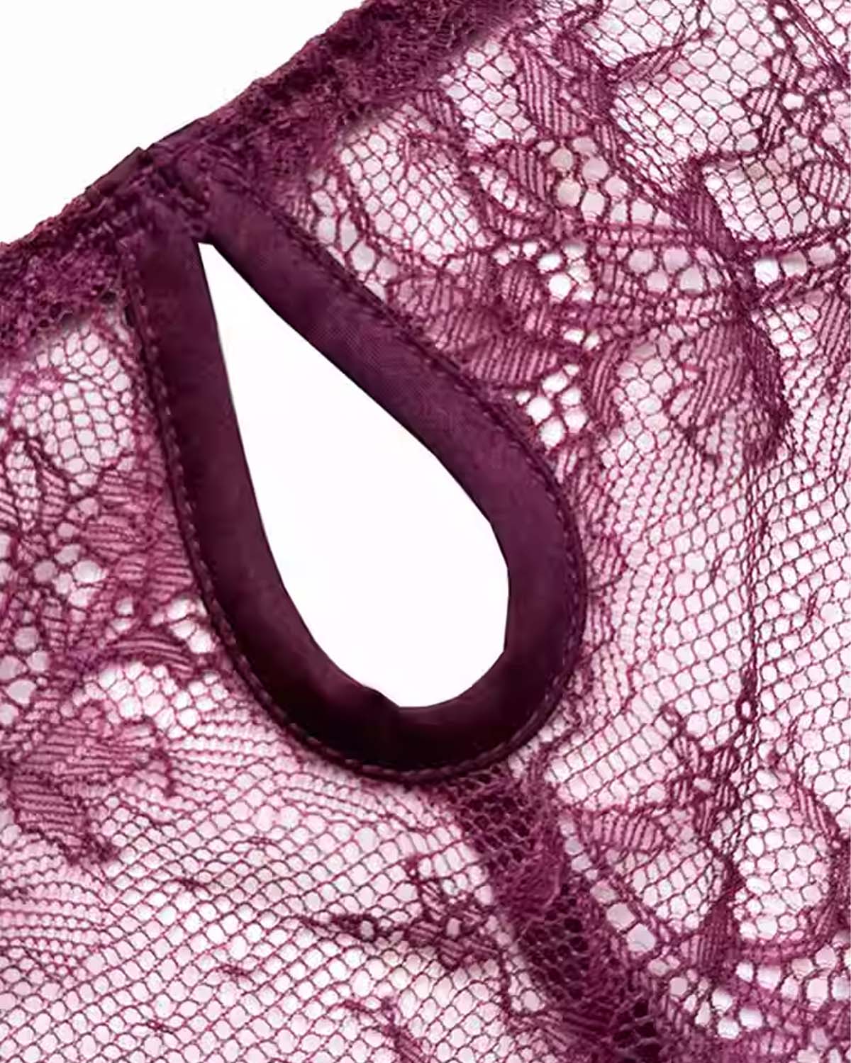 FEELITS SPA59 Mulberry Silk Lace Brief Panties – Seamless, Sheer & No-Show Underwear - FEELITS