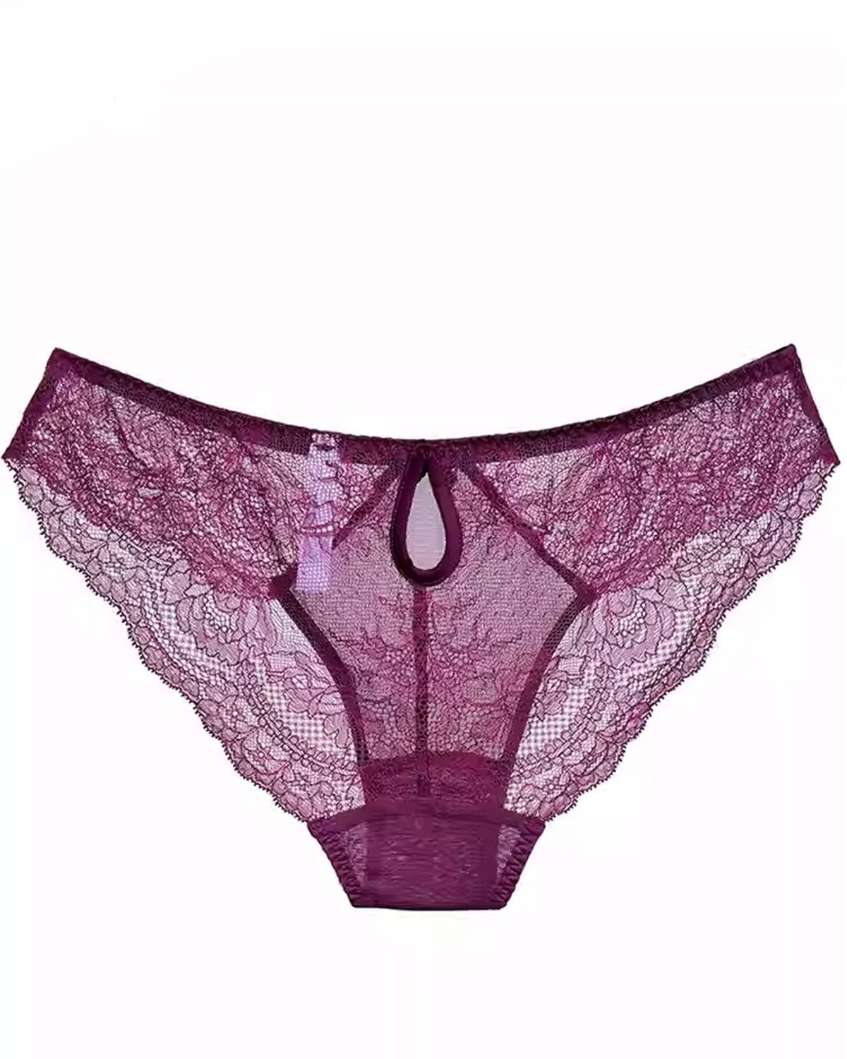 FEELITS SPA59 Mulberry Silk Lace Brief Panties – Seamless, Sheer & No-Show Underwear - FEELITS