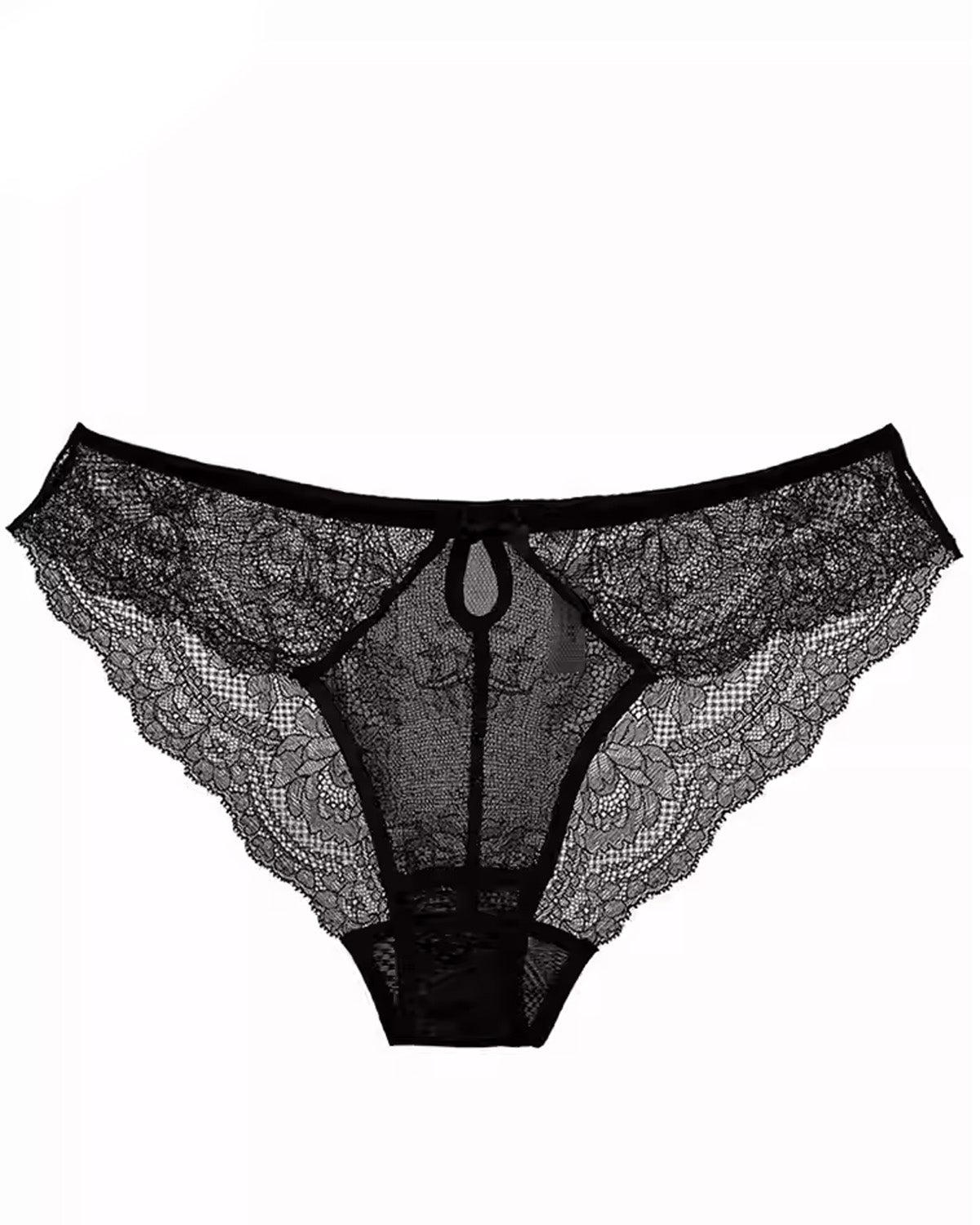 FEELITS SPA59 Mulberry Silk Lace Brief Panties – Seamless, Sheer & No-Show Underwear - FEELITS