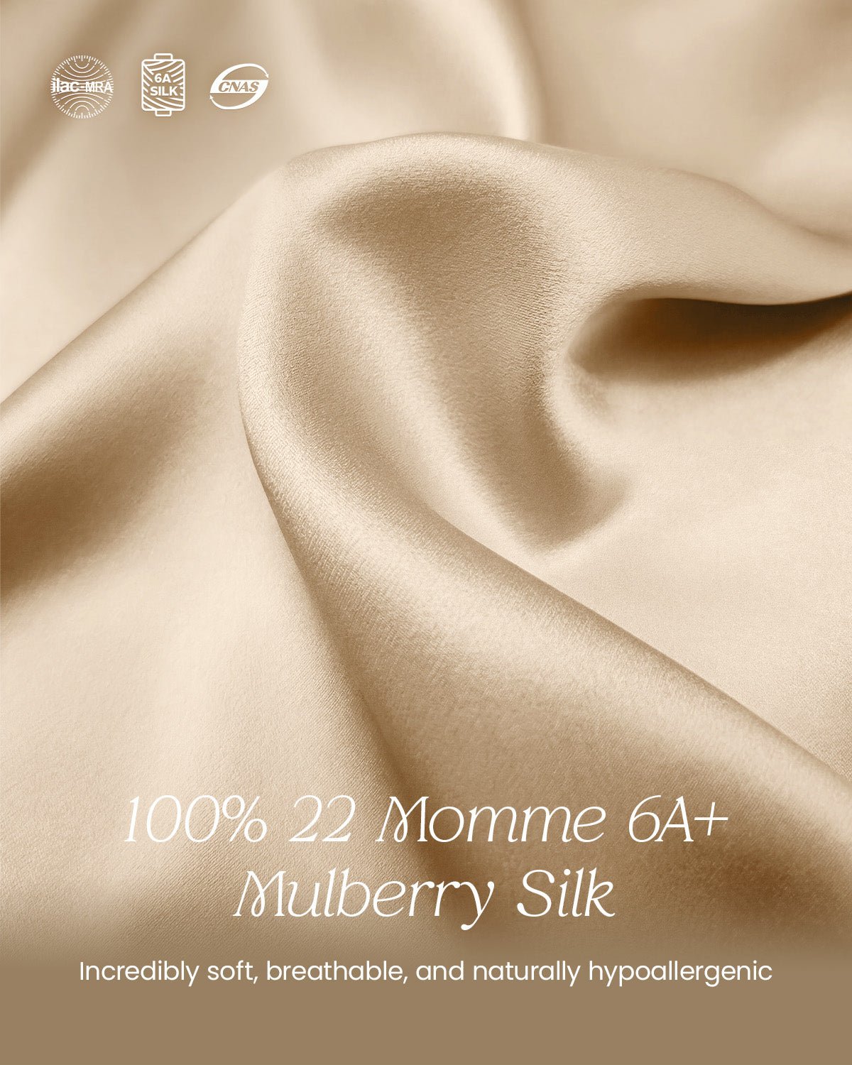 FEELITS TH15 Silk Lace-Trim T-Back Thong – 100% Mulberry Silk, Shiny & Breathable - FEELITS