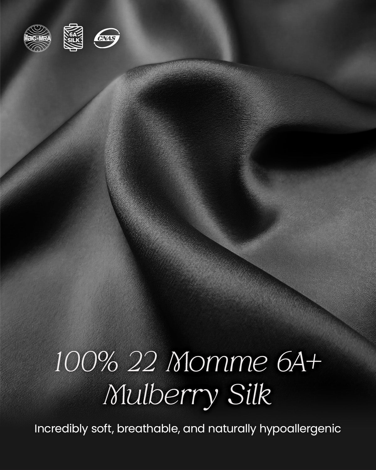FEELITS TH15 Silk Lace-Trim T-Back Thong – 100% Mulberry Silk, Shiny & Breathable - FEELITS