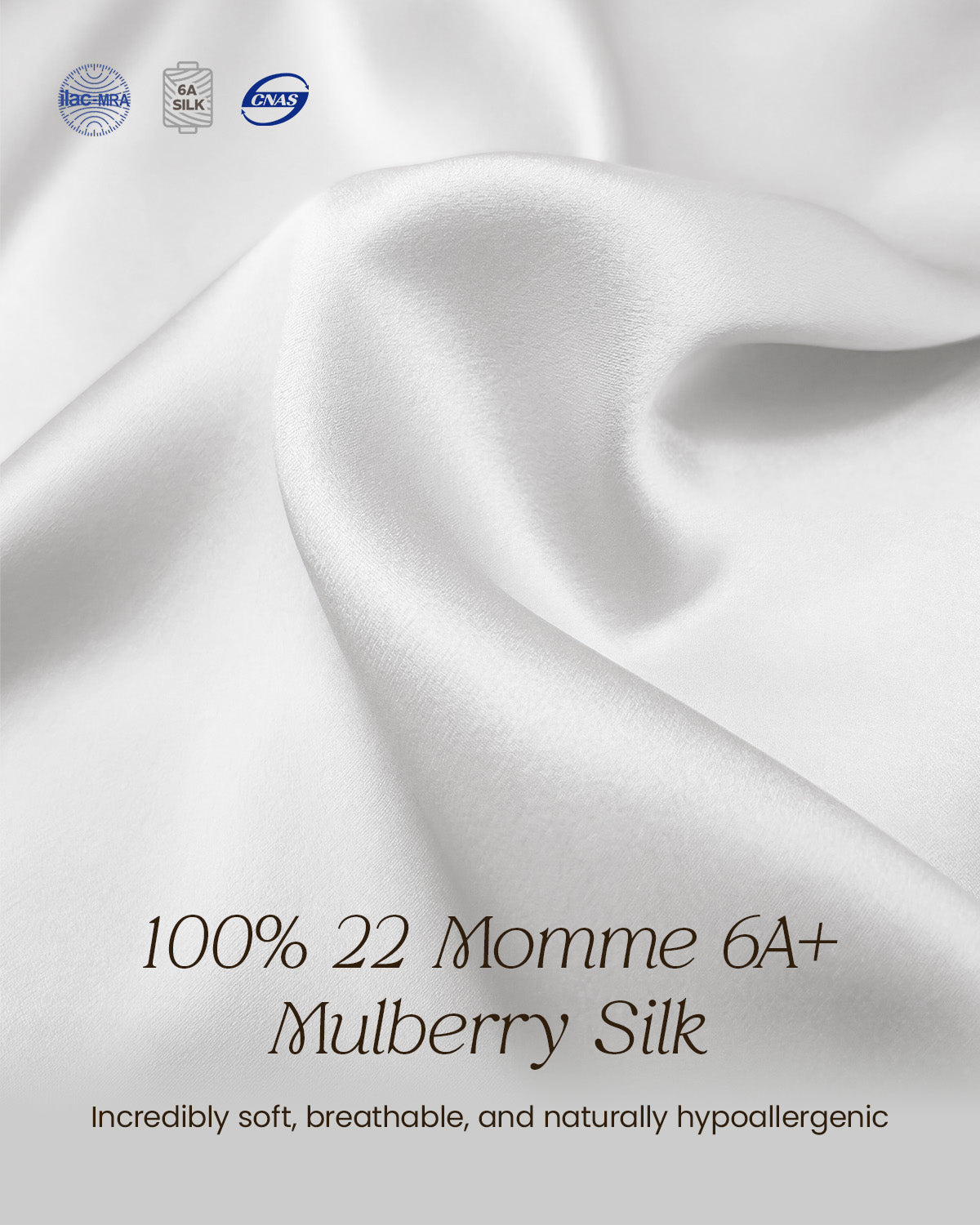 FEELITS TH15 Silk Lace-Trim T-Back Thong – 100% Mulberry Silk, Shiny & Breathable - FEELITS