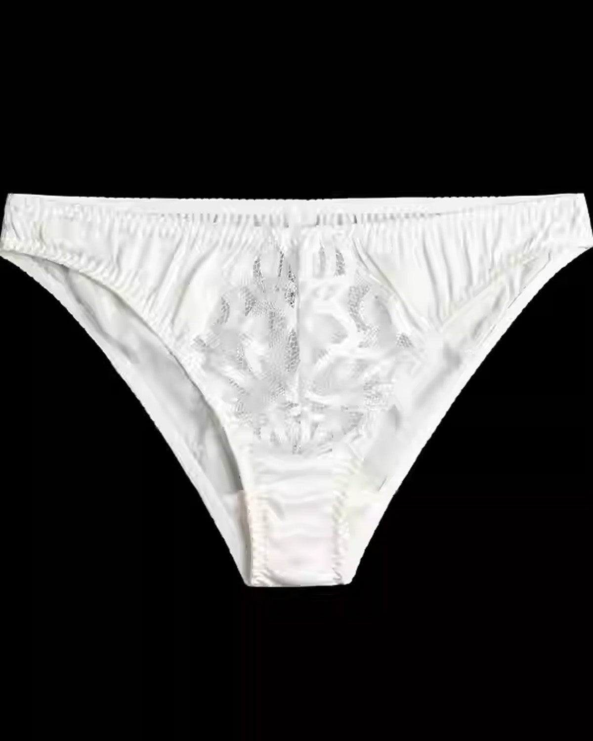 FEELITS SPA79 Mulberry Silk Sheer Hollow Lace Brief Panties – Low-Rise, Seamless & No-Show Fit - FEELITS