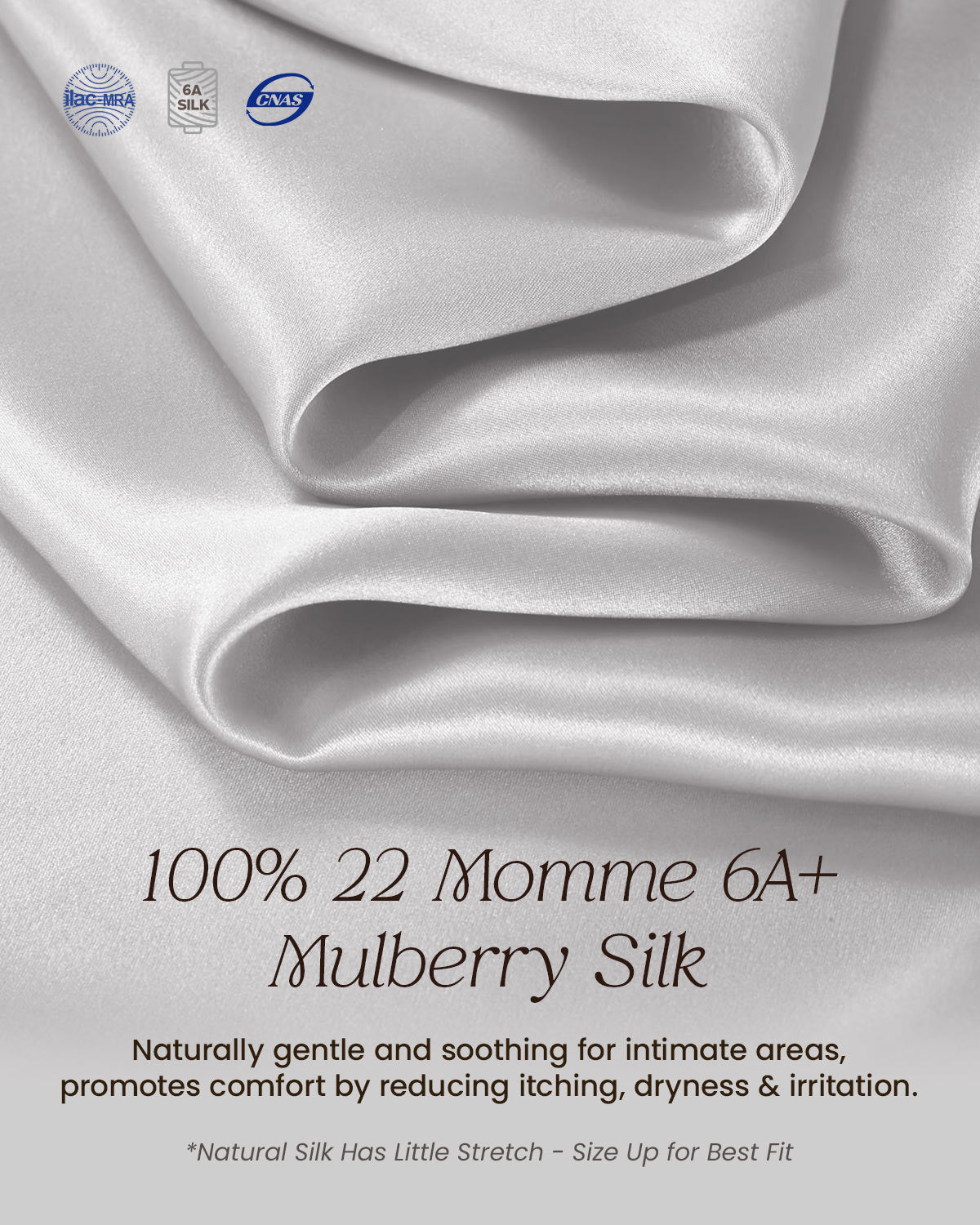 FEELITS SPA43 Silk Low-Rise Lace Trim Briefs – 100% 6A Mulberry Silk, Soft & Breathable - FEELITS