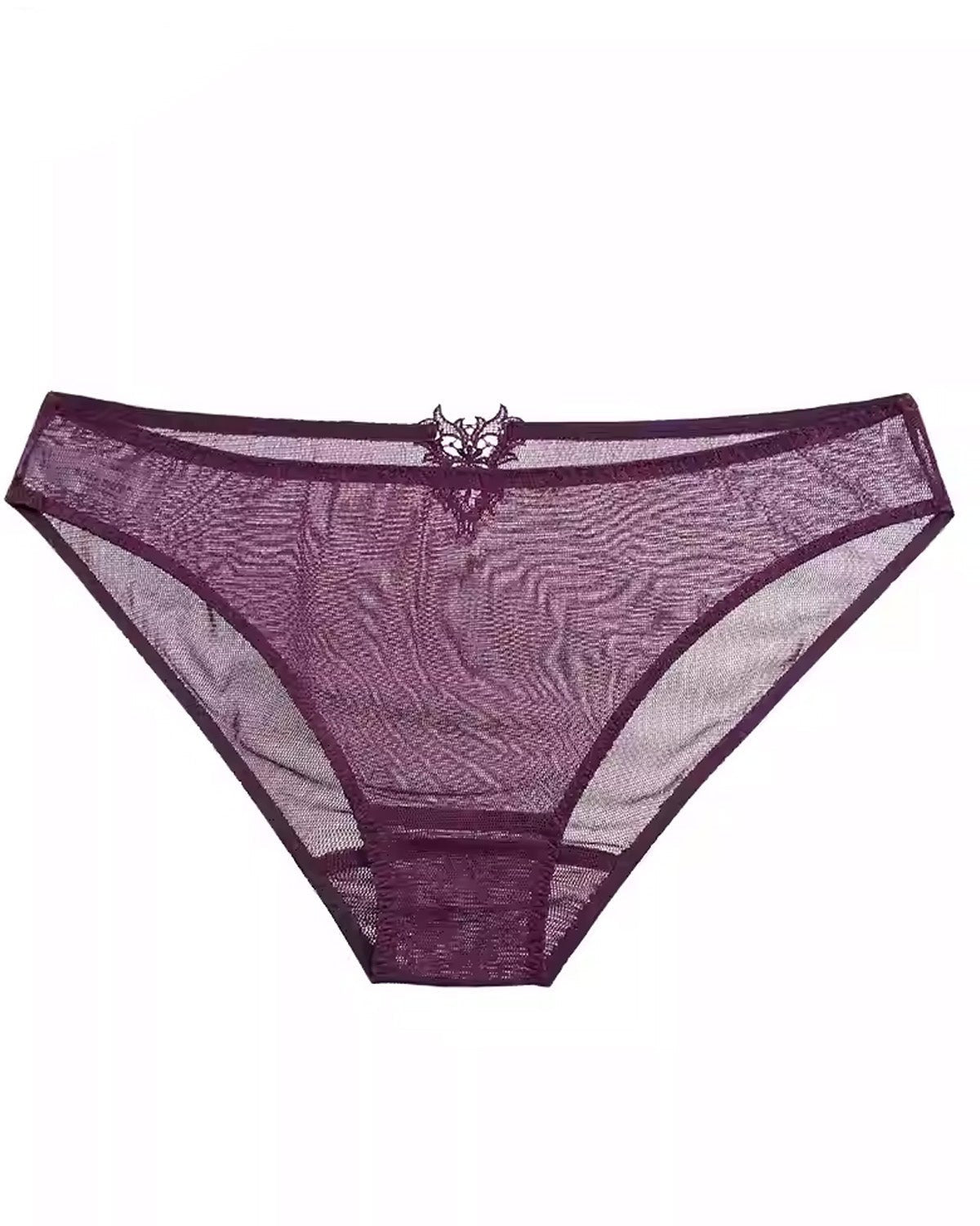 FEELITS SPA72 Mulberry Silk Lace Brief Panties – Seamless, Sheer & No-Show Underwear - FEELITS