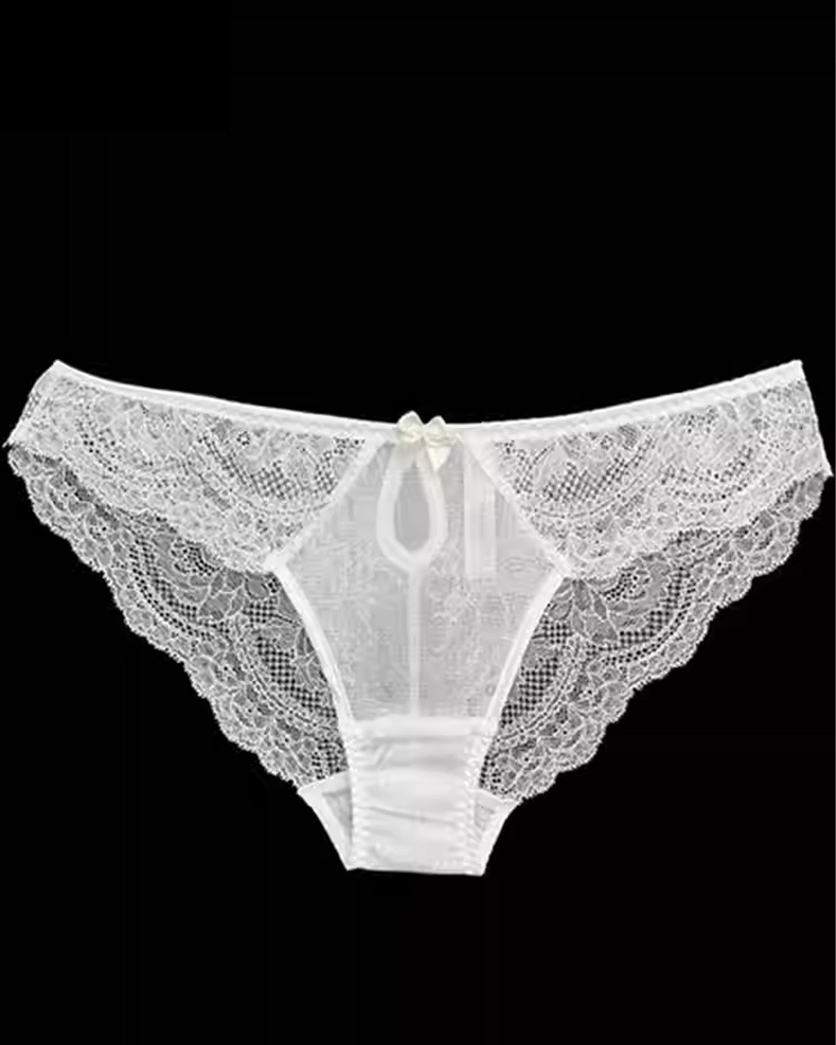 FEELITS SPA59 Mulberry Silk Lace Brief Panties – Seamless, Sheer & No-Show Underwear - FEELITS