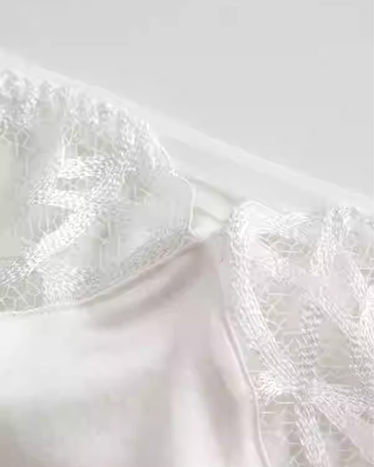 FEELITS SPA66 Mulberry Silk Low-Rise Brief Panties – Seamless, Soft & Breathable Underwear - FEELITS