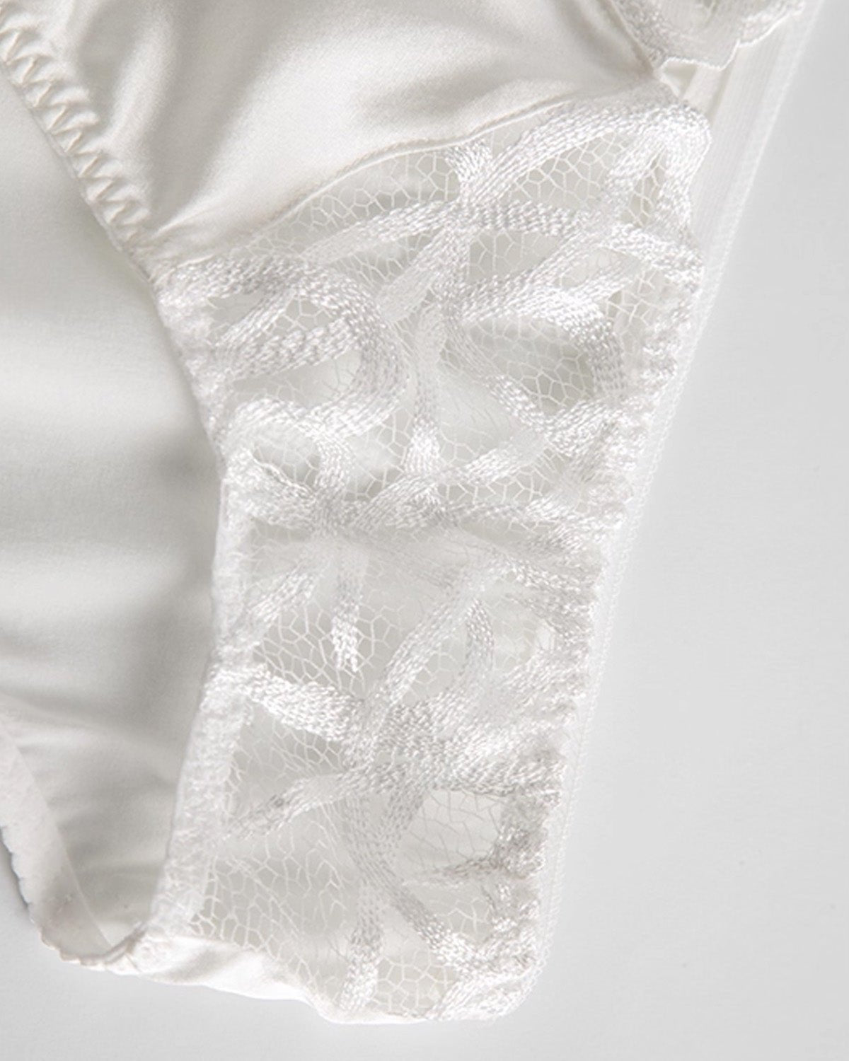 FEELITS SPA66 Mulberry Silk Low-Rise Brief Panties – Seamless, Soft & Breathable Underwear - FEELITS